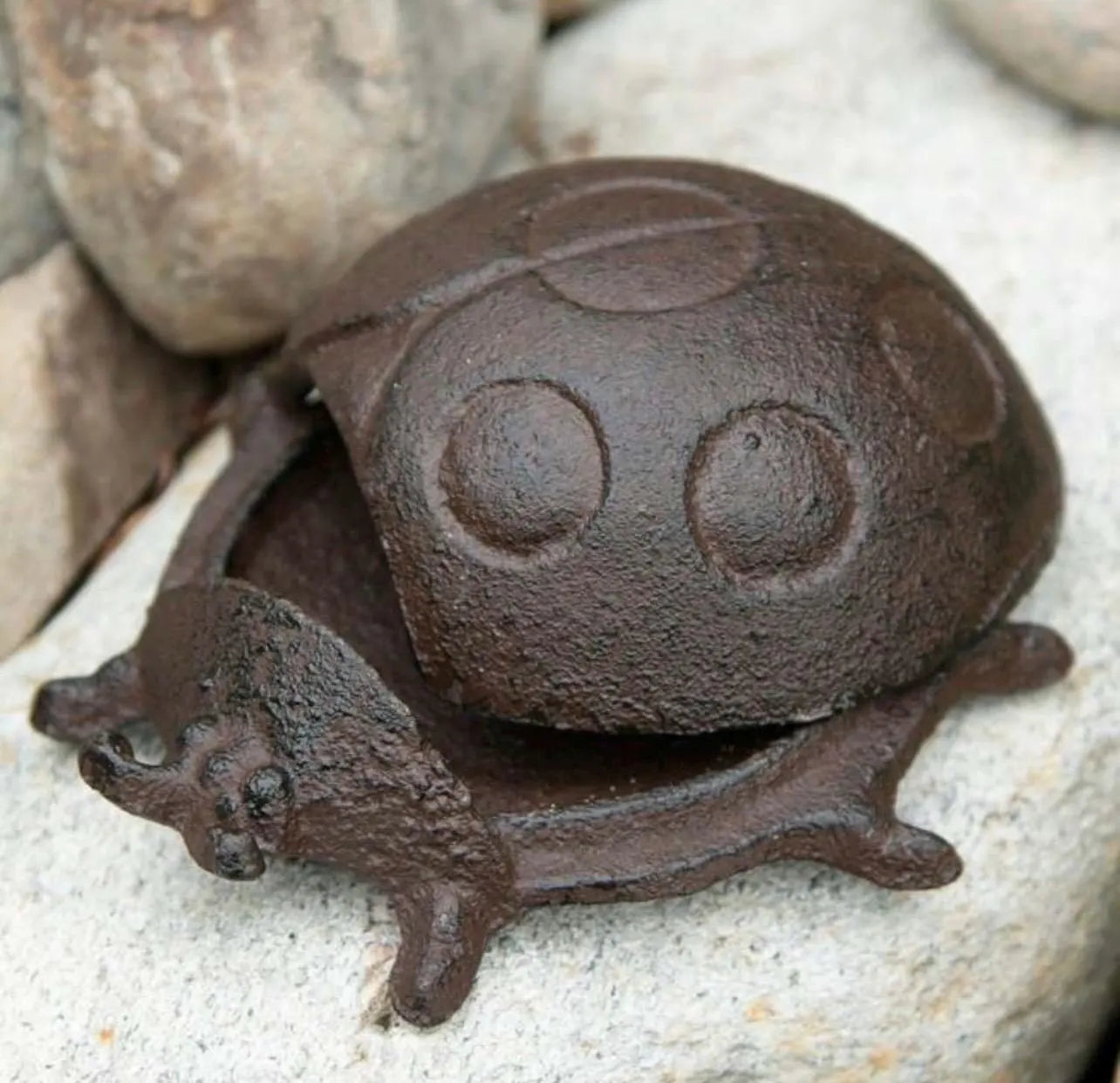 Cast Iron Ladybug Key Hider - Alligator Rose Co